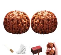 Chinese Walnuts Fidget,2 Pcs Walnut Hand Massage Balls,2026 New Wenwan Walnuts,Exercise Walnut for Hand Training (A, 41-42mm)