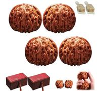 Chinese Walnuts Fidget,2 PCS Walnuts,Chinese Exercise Walnut for Hand Training,Hand Health Care Stress Relief Massage Ball Walnut with Gift Box & Brush (2SET)