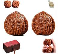 Chinese Walnuts Fidget, 2026 New Wenwan Walnuts,Walnut and Massage Stress Relief Health Care Ball for Travel and Meditation Therapy (#1)