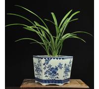Chinoiserie Pot de Fleurs en céramique Pots de Fleurs en Porcelaine Bleue et Blanche Tous Les Pots de bonsaï Peints à la Main Pot de Plante décoratif Bohême Pièce maîtresse de Table pour Table de