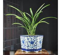 Chinoiserie Pot de Fleurs en céramique Pots de Fleurs en Porcelaine Bleue et Blanche Tous Les Pots de bonsaï Peints à la Main Pot de Plante décoratif Bohême Pièce maîtresse de Table pour Table de