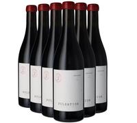 Chinon Pulsation - Rouge 2024 - Les Eclaireurs - Vin Rouge du Val de Loire (6x75 IO
