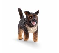 Chiot berger allemand
