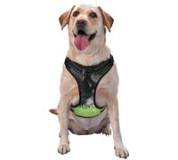 Chiot Berger Allemand Animaux de Compagnie Pelouse Bokeh Chiens,Harnais pour Animaux de Compagnie, Harnais réfléchissant réglable pour Chien,S