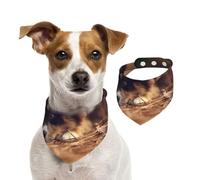 Chiot Border Collie Bokeh Brown Border Collie,Bandanas pour Chien, écharpe en Coton, Bavoirs réglables pour Animaux de Compagnie,L