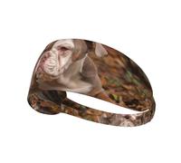 Chiot Bouledogue américain,Bandeau de Sport Unisexe, Bandeau élastique Multi-usages pour Cheveux