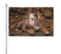 Chiot bouledogue américain,Drapeau de jardin, bannière décorative, drapeau double face, 2 x 3 pieds, pour extérieur et intérieur