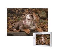 Chiot Bouledogue américain,Puzzle Familial en Bois de 1 000 pièces pour Adultes et Adolescents, décoration d'intérieur