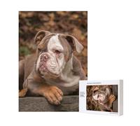 Chiot Bouledogue américain,Puzzle Familial en Bois de 300 pièces pour Adultes et Adolescents