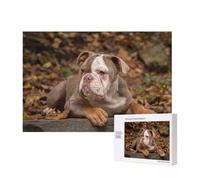 Chiot Bouledogue américain,Puzzle Familial en Bois de 300 pièces pour Adultes et Adolescents, décoration d'intérieur