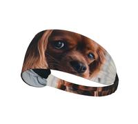 Chiot Cavalier King Charles Spaniel Ruby,Bandeau de Sport Unisexe, Bandeau élastique Multi-usages pour Cheveux