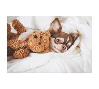 Chiot Chihuahua Dormant avec Un Nounours sur Un lit Blanc，Puzzle 1000 Pieces Adultes Jouet de décompression intellectuel éducatif Puzzles Jeu de Famille Amusant pour Enfants adult-T59