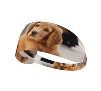 Chiot Cocker Spaniel Petit Chien Épagneul Animaux de Compagnie,Bandeau de Sport Unisexe, Bandeau élastique Multi-usages pour Cheveux