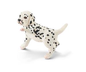 Chiot dalmatien (Bundle)
