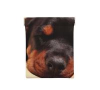 Chiot Doberman Chiens endormis Animaux Chiens Doberman, Sac de Rangement pour Femmes, Portefeuille supérieur à Presser, Petit Porte-Monnaie, Pochette de Changement