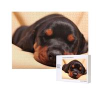 Chiot Doberman Chiens endormis Animaux de Compagnie Chiens Doberman,Puzzle Familial en Bois de 500 pièces pour Adultes et Adolescents, décoration d'intérieur