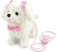 Chiot en promenade - caniche en laisse