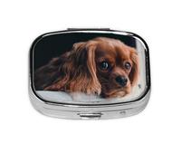 Chiot épagneul Cavalier King Charles Ruby, pilulier méta à 2 compartiments, organiseur portable