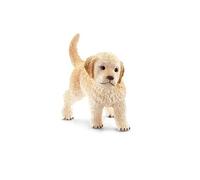 Chiot golden retriever