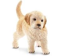 Chiot golden retriever