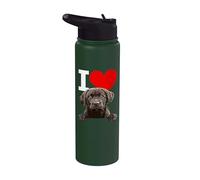 Chiot I Love Chocolate Lab Stainless Steel Insulated Water Bottle