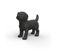 Chiot Labrador Retriever noir