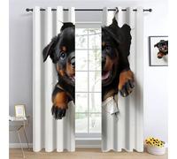 Chiot mignon Impression Rideau Occultant, Chiot Rottweiler Enfant Rideaux, Chien sortant du mur Chambre Décoration De Fenêtre, Art des illusions d'optique 3D Thermique Rideaux L132 x H160cm 2 Panneaux