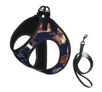 Chiot Teckel,Harnais pour Animaux de Compagnie, Harnais réfléchissant réglable pour Chien,S