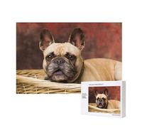 Chiots bouledogues français Mall Brown Little Dogs,Puzzle Familial en Bois de 300 pièces pour Adultes et Adolescents, décoration d'intérieur