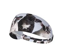 Chiots bouledogues français Mignons,Bandeau de Sport Unisexe, Bandeau élastique Multi-usages pour Cheveux