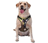 Chiots Bouvier Bernois,Harnais pour Animaux de Compagnie, Harnais réfléchissant réglable pour Chien,XL