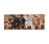 Chiots Cavalier King Charles Spaniel d'automne,Grand Tapis de Souris pour Bureau, Clavier d'ordinateur, avec Base en Caoutchouc antidérapante, 30 x 80 cm