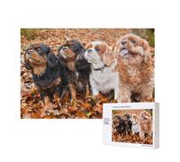 Chiots Cavalier King Charles Spaniel d'automne,Puzzle Familial en Bois de 300 pièces pour Adultes et Adolescents, décoration d'intérieur