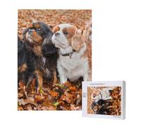 Chiots Cavalier King Charles Spaniel d'automne,Puzzle Familial en Bois de 500 pièces pour Adultes et Adolescents