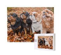 Chiots Cavalier King Charles Spaniel d'automne,Puzzle Familial en Bois de 500 pièces pour Adultes et Adolescents, décoration d'intérieur