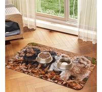 Chiots Cavalier King Charles Spaniel d'automne,Tapis d'alimentation pour Animaux de Compagnie, Sets de Table en Cuir PU pour Chats et Chiens,30x45cm
