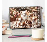 Chiots Chihuahua - Petits miracles (Calendrier de bureau 2027 DIN A5 vertical), CALVENDO calendrier mensuel