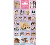 chiots collants mignons 22 pièces multicolores