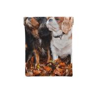 Chiots d'automne Cavalier King Charles Spaniel, Sac de Rangement pour Femmes, Portefeuille supérieur à Presser, Petit Porte-Monnaie, Pochette de Changement