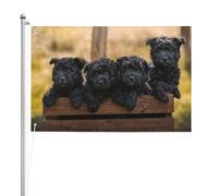Chiots de la famille Affenpinscher Chiens noirs Singe,Drapeau de jardin, bannière décorative, drapeau double face, 2 x 3 pieds, pour extérieur et intérieur