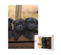 Chiots de la Famille Affenpinscher Chiens Noirs Singe,Puzzle Familial en Bois de 300 pièces pour Adultes et Adolescents