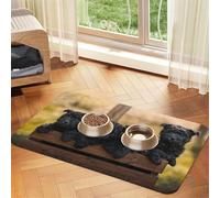 Chiots de la Famille Affenpinscher Chiens Noirs Singe,Tapis d'alimentation pour Animaux de Compagnie, Sets de Table en Cuir PU pour Chats et Chiens,40x60cm