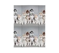 Chiots Husky Chiens,Couverture Chaude en Flanelle Polaire pour literie, canapé et Voyage, 60 x 80 Pouces