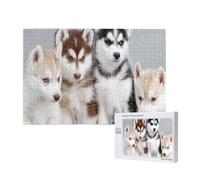 Chiots Husky Chiens,Puzzle Familial en Bois de 1 000 pièces pour Adultes et Adolescents, décoration d'intérieur