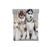 Chiots Husky Chiens, Sac de Rangement pour Femmes, Portefeuille supérieur à Presser, Petit Porte-Monnaie, Pochette de Changement