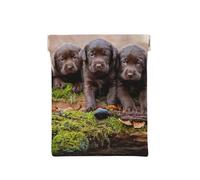 Chiots Labrador Famille de Petits Chiots Bruns, Sac de Rangement pour Femmes, Portefeuille supérieur à Presser, Petit Porte-Monnaie, Pochette de Changement