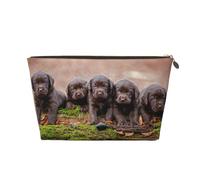 Chiots Labrador Famille de Petits Chiots Bruns, Trousse de Maquillage Trousse à cosmétiques Trousse de Toilette de Voyage Portable Pochette de Toilette