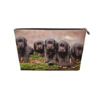 Chiots Labrador Famille de Petits Chiots Bruns, Trousse de Toilette Trousse de Maquillage Sac à cosmétiques Trousse de Toilette de Voyage Portable