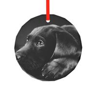 Chiots Labrador Noir Art, Pendentif Rond en Verre, décoration Suspendue pour cheminée de Noël