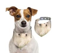 Chiots Samoyèdes Chiens Blancs Famille Petit Samoyède,Bandanas pour Chien, écharpe en Coton, Bavoirs réglables pour Animaux de Compagnie,L